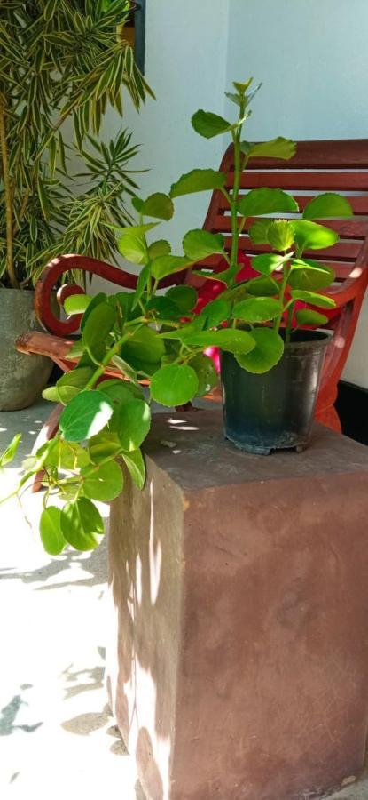 לינה וארוחת בוקר היקדואה Mandara Rest מראה חיצוני תמונה